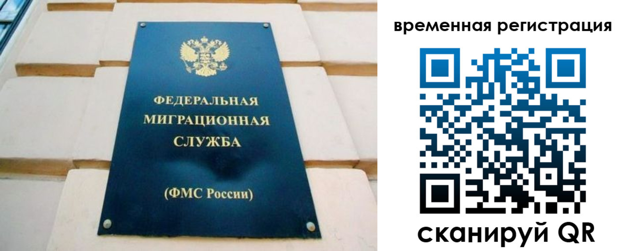 прописка гарантия в Зеленодольске